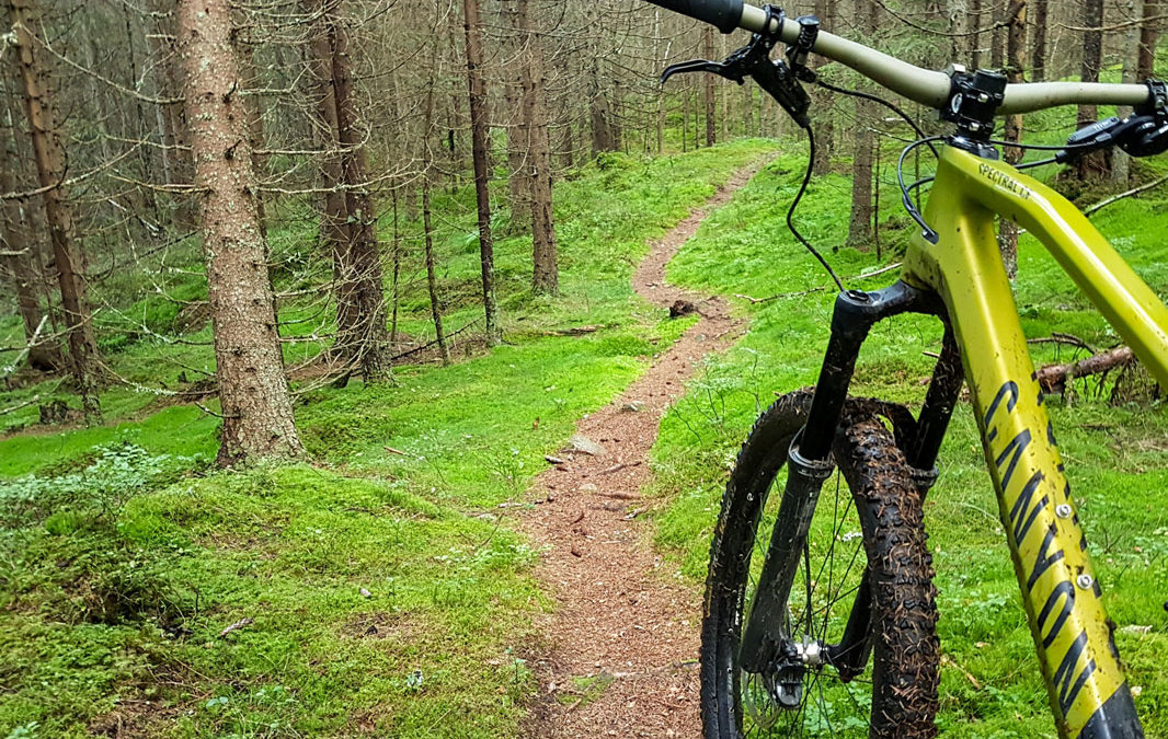 Bicycles: on- and off-road