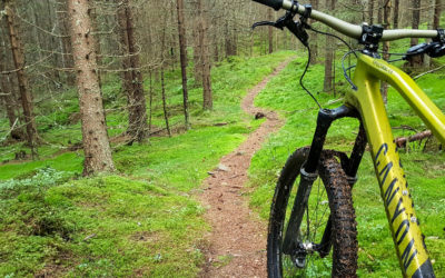 Bicycles: on- and off-road